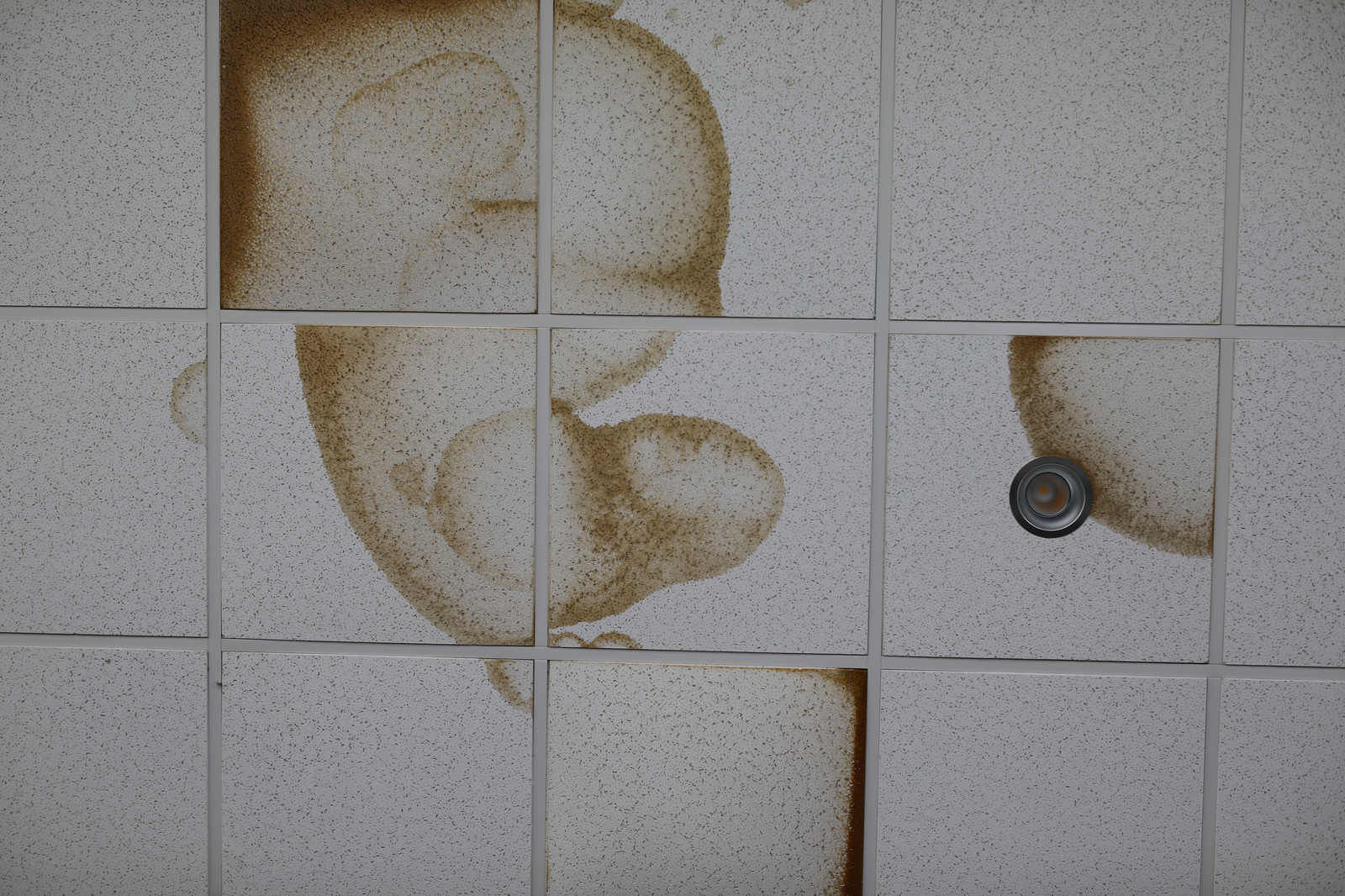 Where the water goes